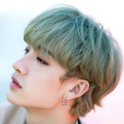 bang chan